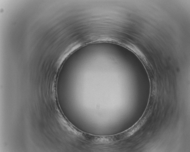 X0000064750806200602171731