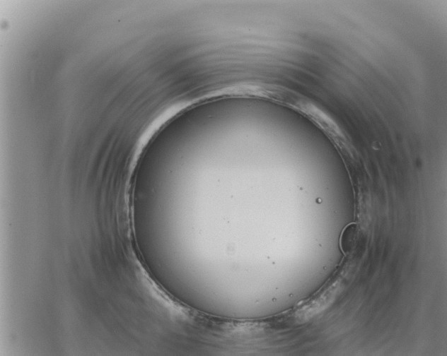 X0000064750808200602171731