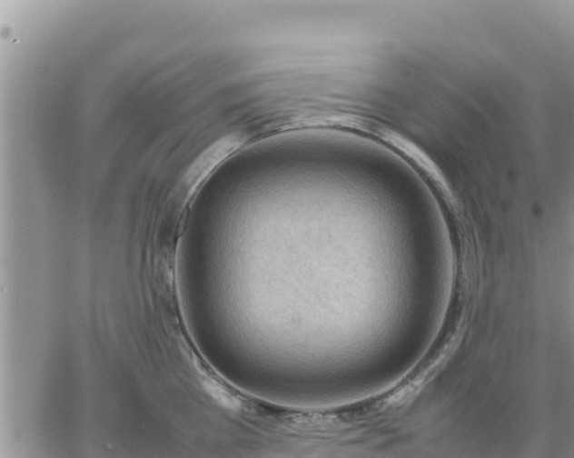 X0000064750809200602171731