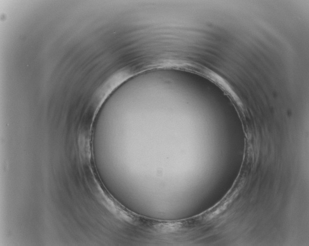 X0000064750810200602171731