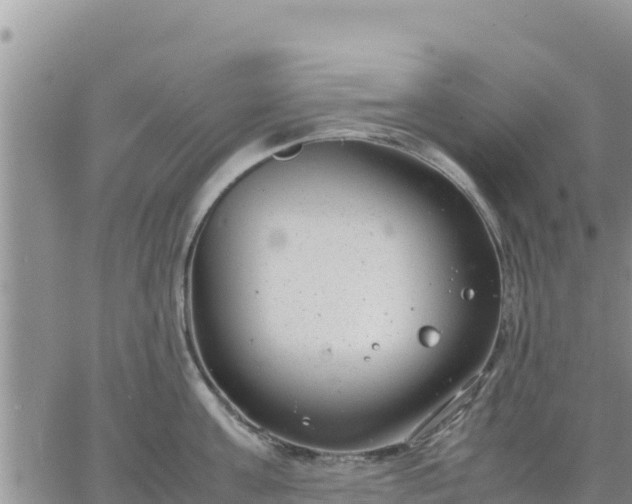 X0000064750811200602171731