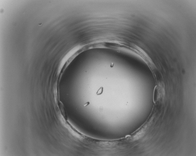 X0000064750812200602171731