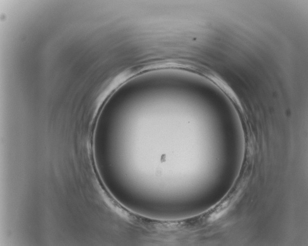 X0000064750813200602171731