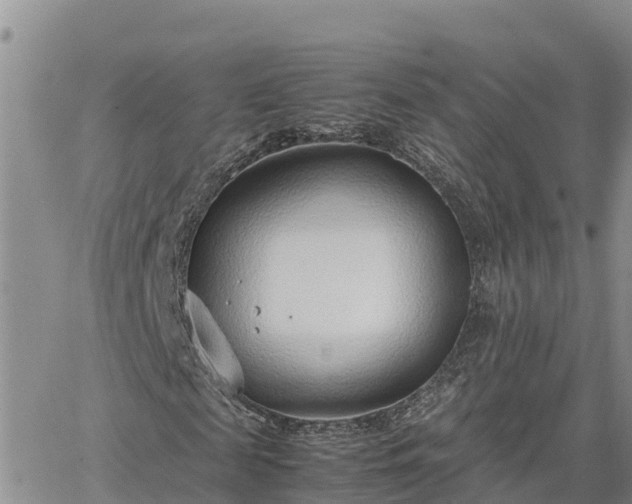 X0000064750817200602171730