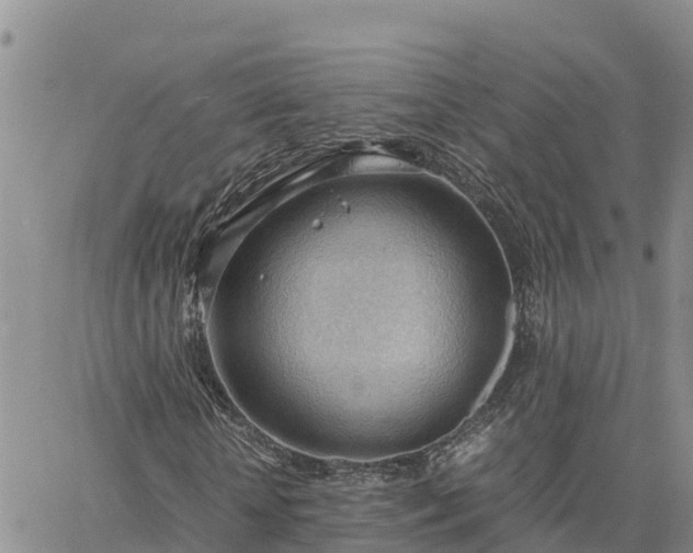 X0000064750818200602171730