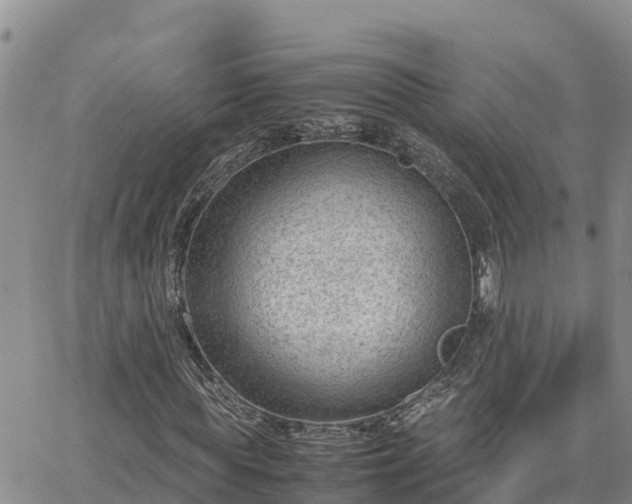 X0000064750819200602171730