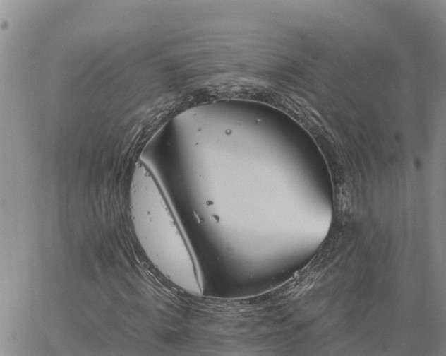 X0000064750820200602171730