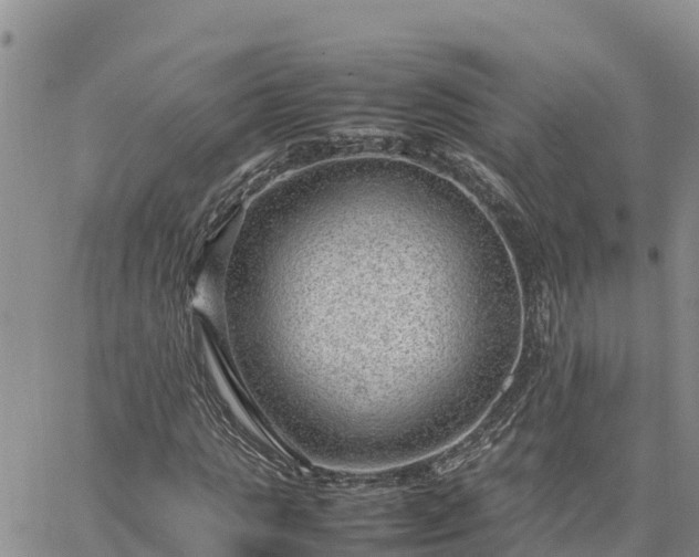 X0000064750821200602171730