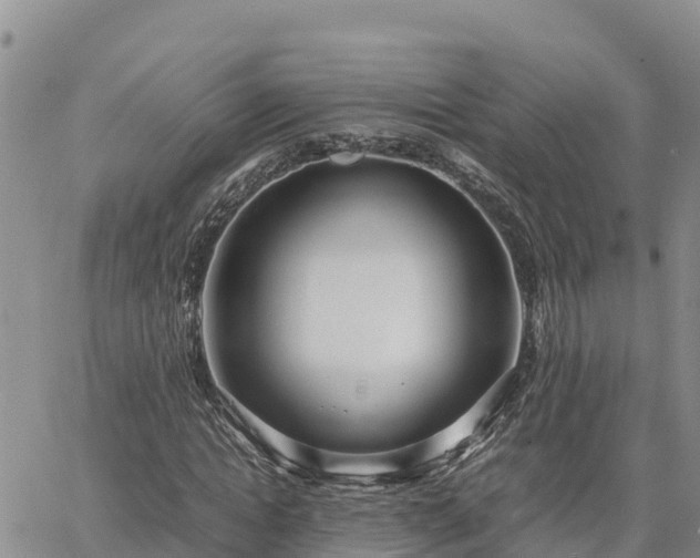 X0000064750822200602171731