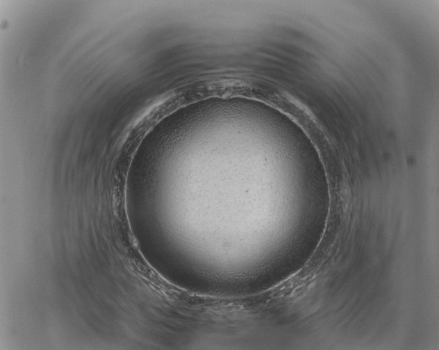 X0000064750823200602171731