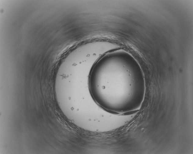 X0000064750824200602171731