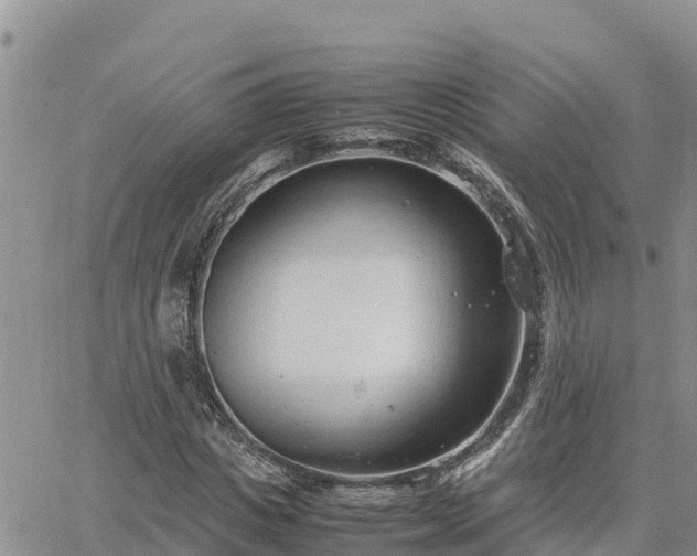 X0000064750825200602171731