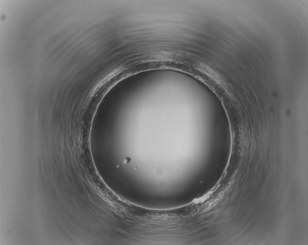 X0000064750826200602171731