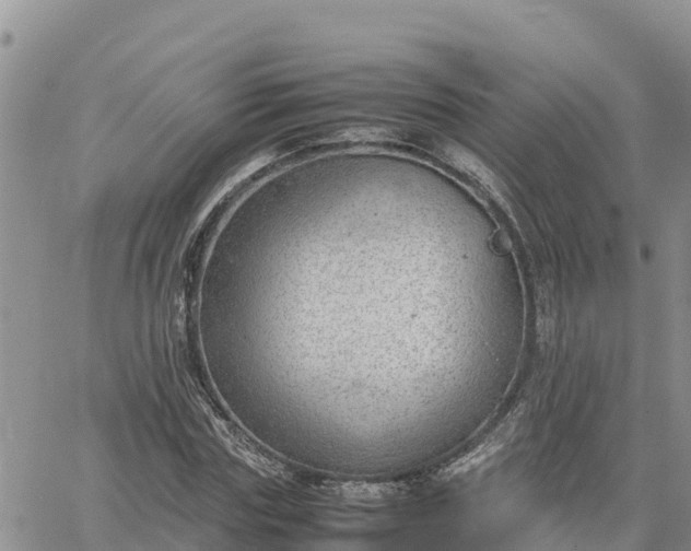 X0000064750827200602171731