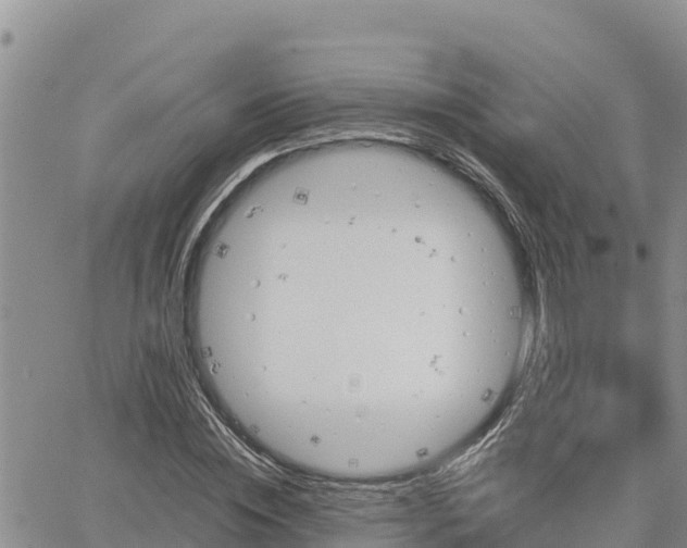 X0000064750828200602171731