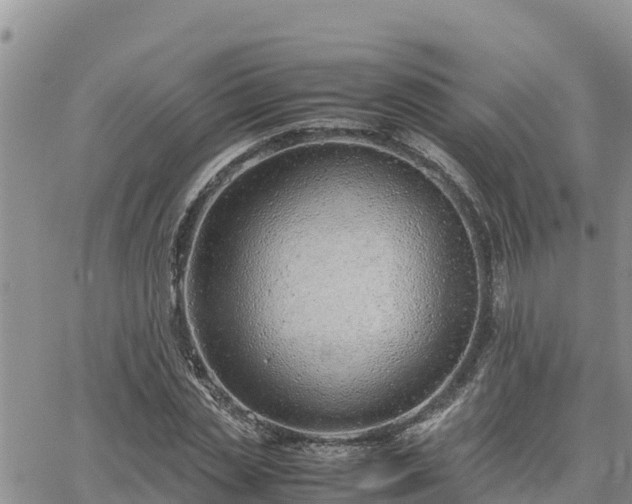 X0000064750829200602171731