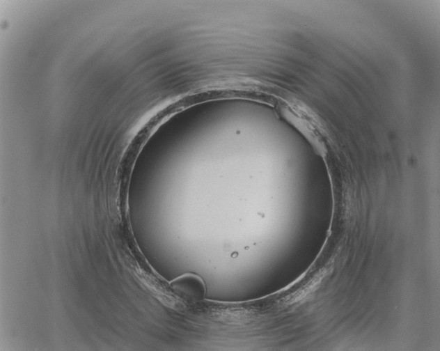 X0000064750830200602171731