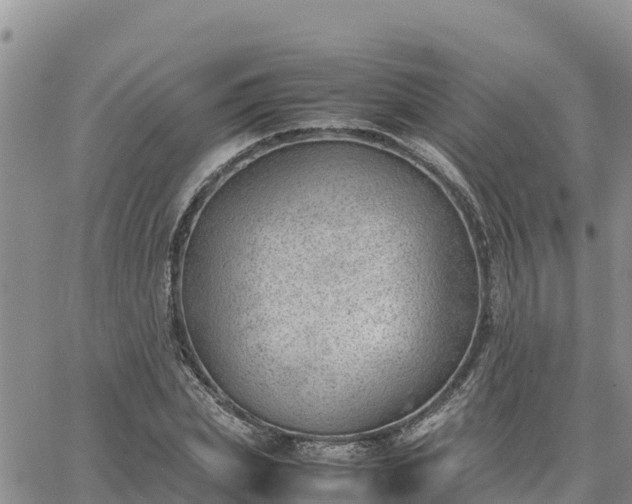 X0000064750831200602171731