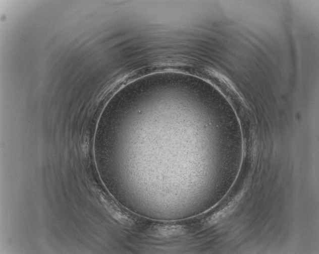 X0000064750833200602171731