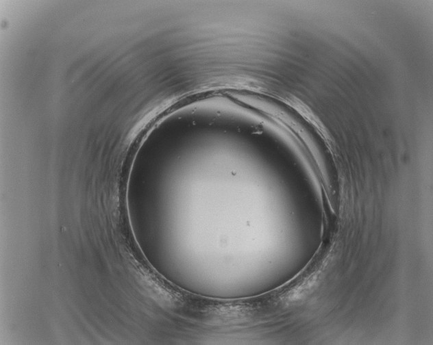 X0000064750834200602171731