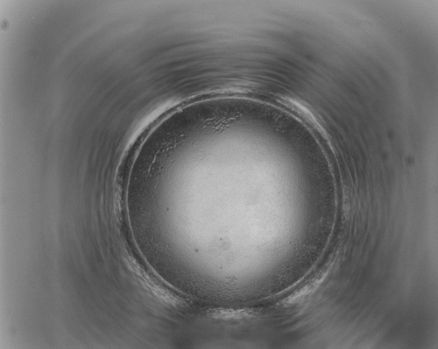 X0000064750835200602171731