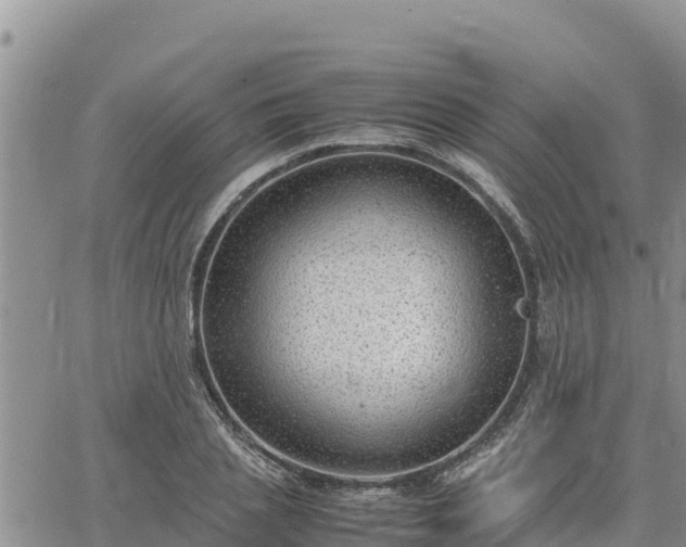 X0000064750837200602171731