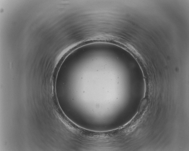 X0000064750838200602171731