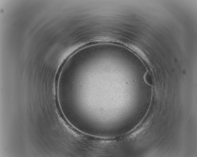 X0000064750839200602171731