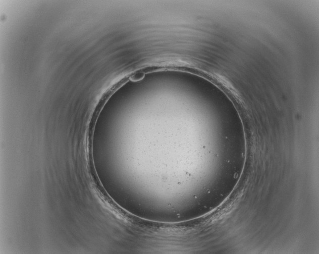 X0000064750840200602171731