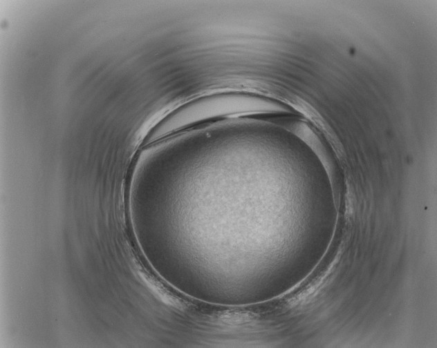 X0000064750842200602171731