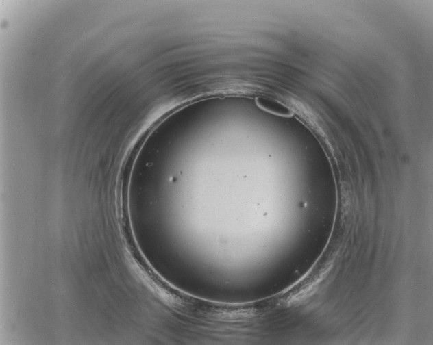 X0000064750843200602171731