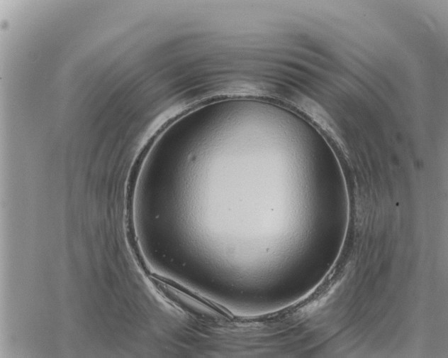 X0000064750845200602171731