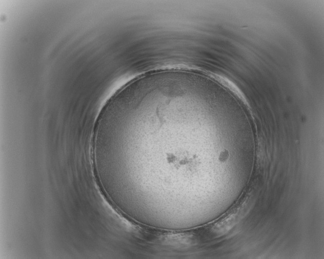 X0000064750847200602171731