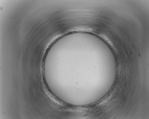 X0000064750848200602171731