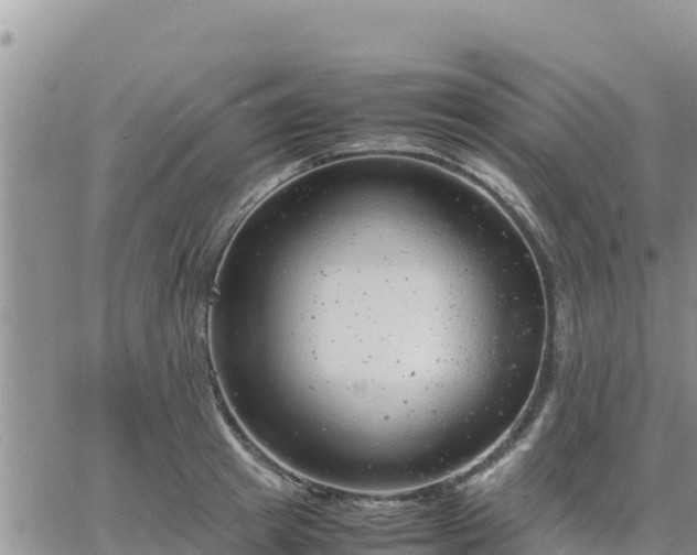 X0000064750849200602171731