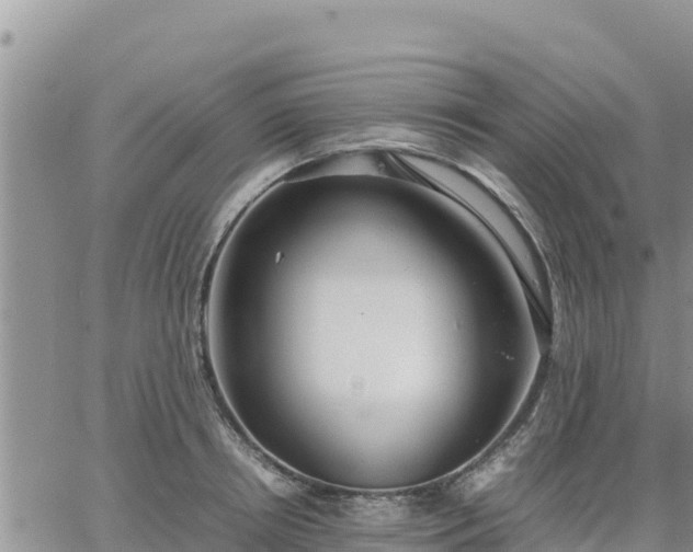 X0000064750850200602171731