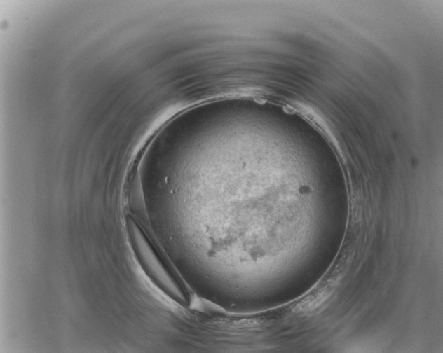 X0000064750851200602171731