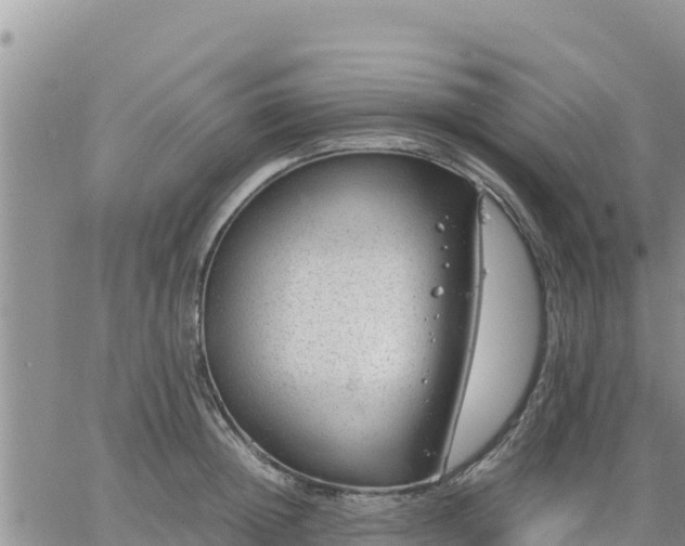 X0000064750852200602171731