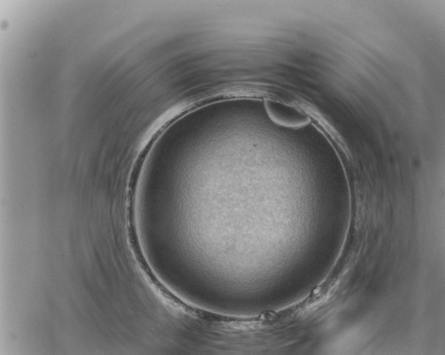 X0000064750853200602171731