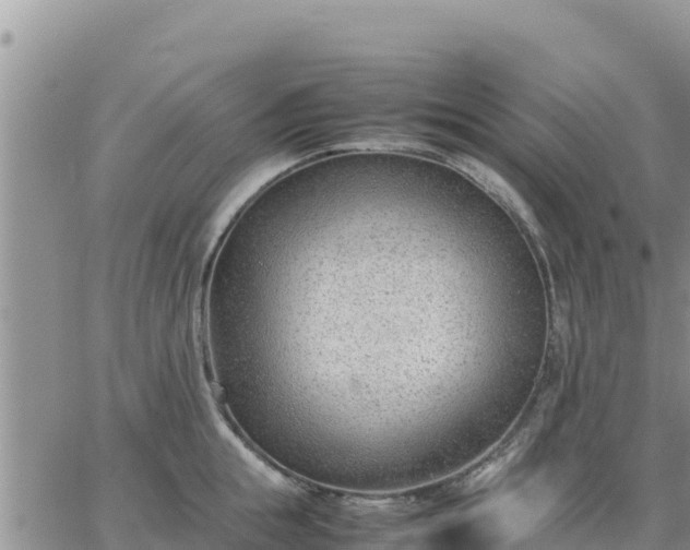 X0000064750855200602171731