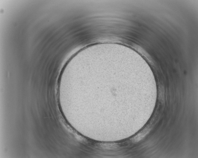 X0000064750856200602171731