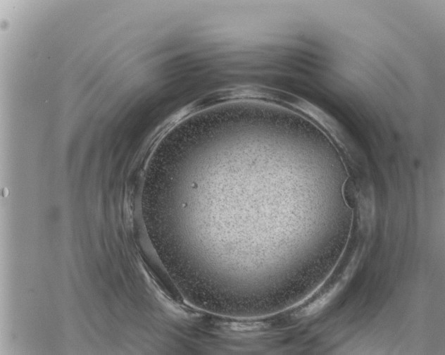 X0000064750857200602171731