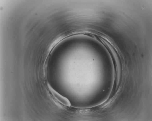 X0000064750858200602171731