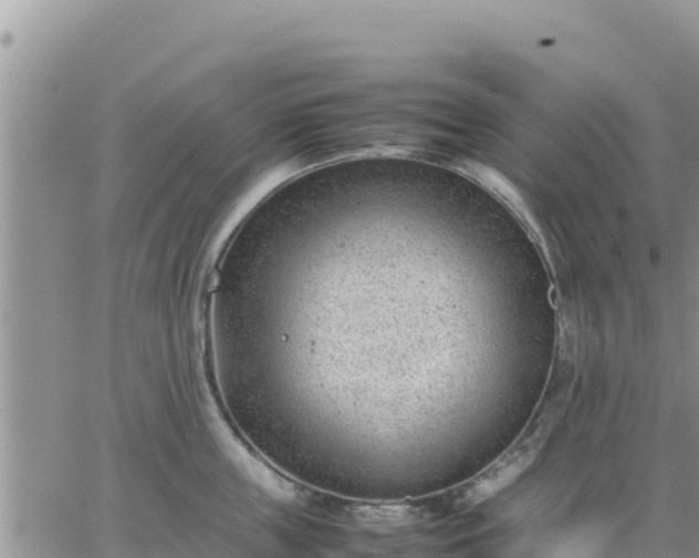 X0000064750859200602171731