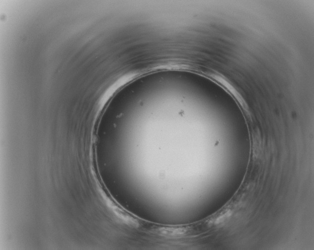 X0000064750861200602171731