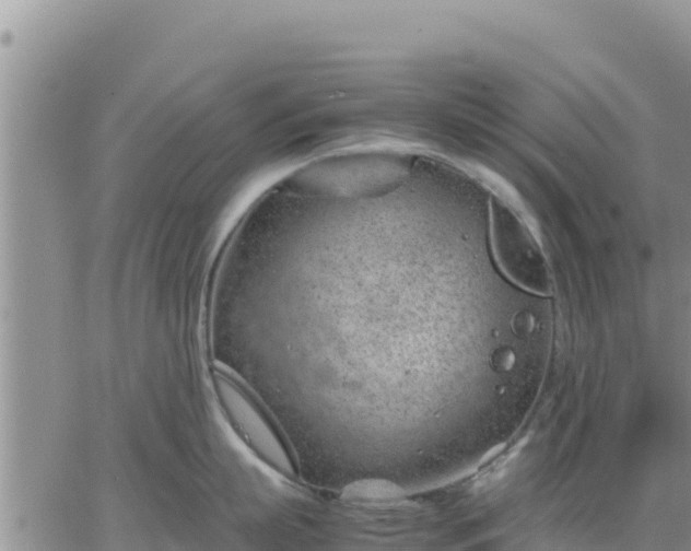 X0000064750863200602171731