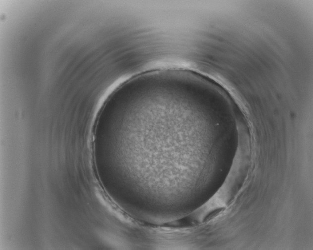 X0000064750864200602171731