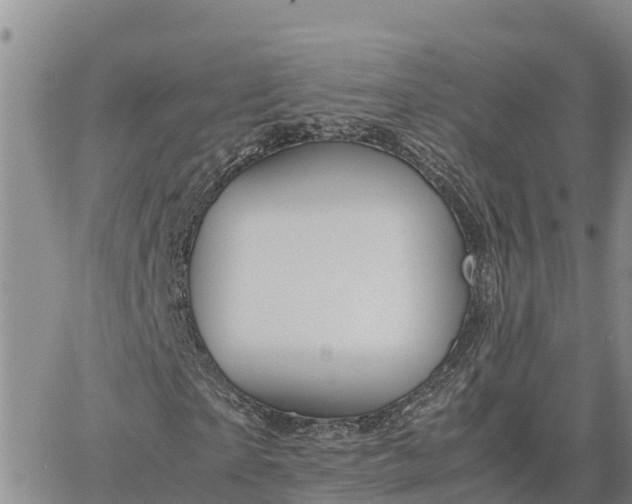 X0000064750865200602171730