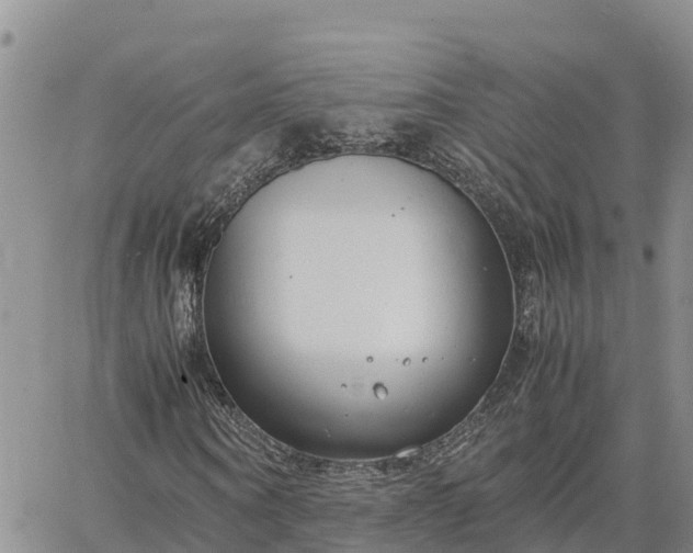 X0000064750866200602171730