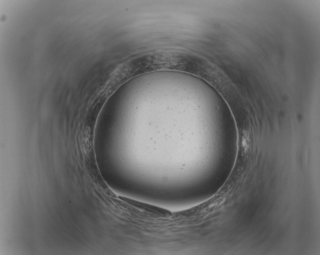 X0000064750867200602171730